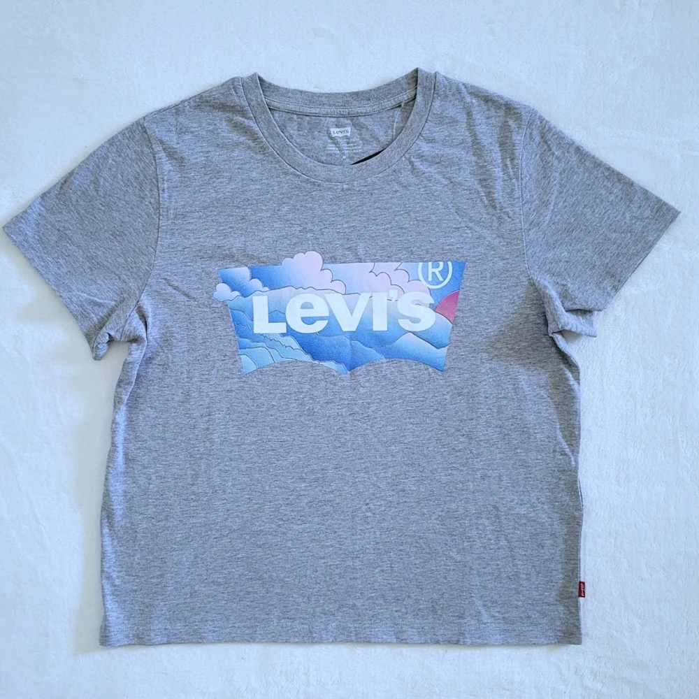 Levi's Mountain⛰️ Scene Logo Graphic Tee👕 - NWT